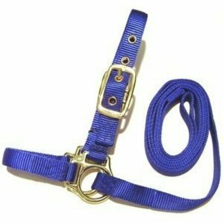 HAMILTON 36d Bl 3/4 in. Sheep Show Halter W/5'Lead Blue HV301341632